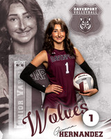 DHS_VB_JV_Ind2-1