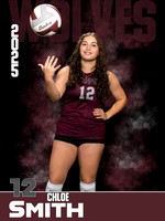 DHS_VB_JV_Ind1-76