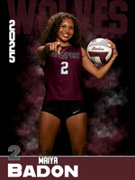 DHS_VB_JV_Ind1-66