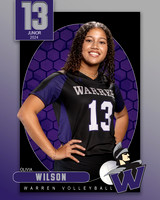 WHS_VAR_VB_IND1-30