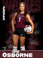 DHS_VB_JV_Ind1-55