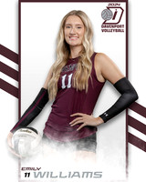 DHS_VAR_VB_IND2-56