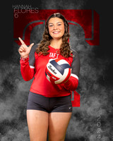 THS_VAR_VB_IND1-73