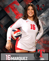 THS_JV_VB_IND2-45
