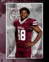 DHS_FB_Var_Ind1-35
