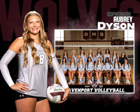 DHS_VB_Var_MM-15