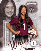 DHS_VB_9th_Ind2-1