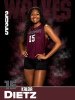 DHS_VB_JV_Ind1-14