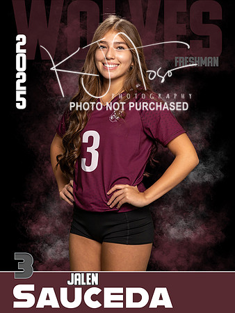 DHS_VB_9th_Ind1-3