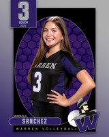 WHS_VAR_VB_IND1-3