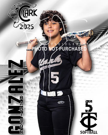CHS_JVSB_Ind1-77