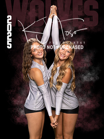 DHS_VB_Var_Ind1-87