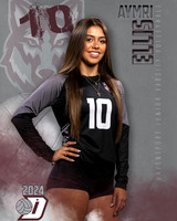 DHS_JV_VB_IND1-22