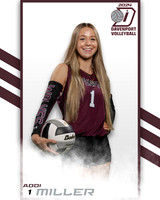 DHS_VAR_VB_IND2-31
