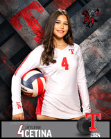 THS_JV_VB_IND2-36