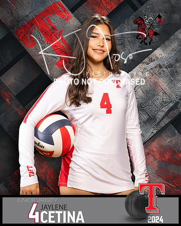 THS_JV_VB_IND2-36