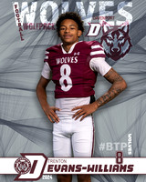 DHS_VAR_FB_IND1-9