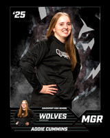 DHS_SB_V_Ind1-17