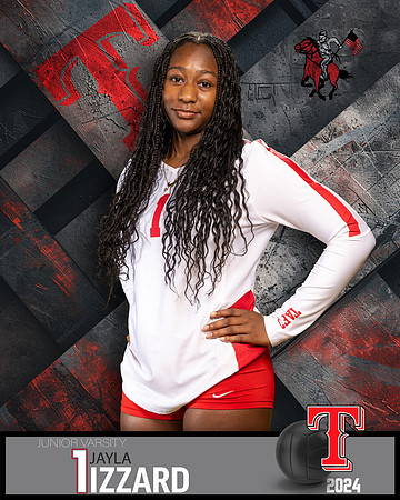 THS_JV_VB_IND2-1