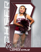 DHS_JV_CH_IND1-34