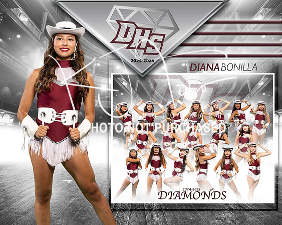DHS_DIA_MM-1