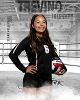 CHS_9th_VB_IND1-36