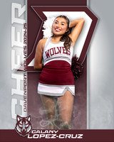DHS_JV_CH_IND1-26