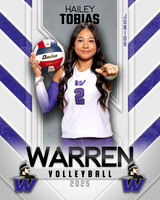 WHS_VB_Var_Ind1-70