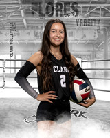 CHS_VAR_VB_IND1-42