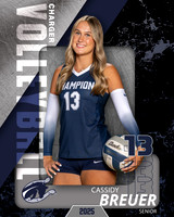 BHS_VB_Var_Ind1-42