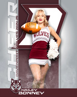DHS_JV_CH_IND1-35