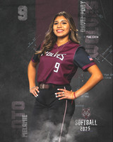 DHS_SB_JV_Ind2-4
