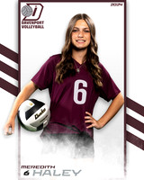 DHS_9th_VB_IND2-29