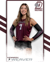 DHS_VAR_VB_IND2-7