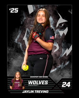 DHS_SB_JV_Ind1-11