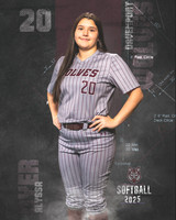 DHS_SB_V_Ind2-14