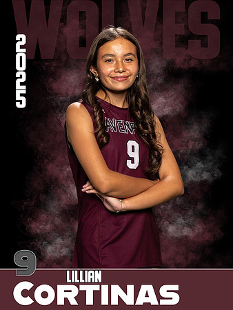 DHS_VB_JV_Ind1-25