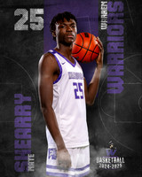 WHS_BB_Var_Ind-50