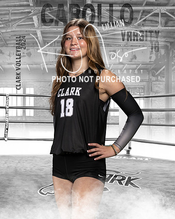 CHS_VAR_VB_IND1-18