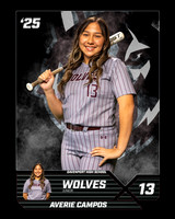 DHS_SB_V_Ind1-11