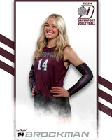 DHS_VAR_VB_IND2-14