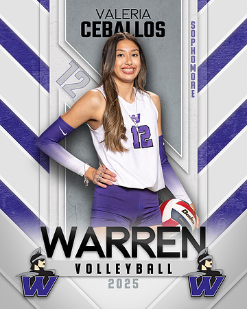 WHS_VB_Var_Ind1-46
