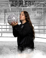 CHS_VAR_VB_IND1-100