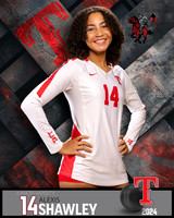 THS_JV_VB_IND2-28