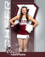 DHS_JV_CH_IND1-8