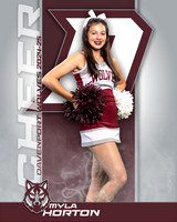 DHS_JV_CH_IND1-24
