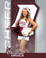 DHS_JV_CH_IND1-12