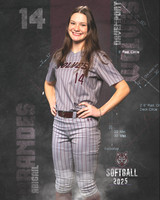 DHS_SB_V_Ind2-12