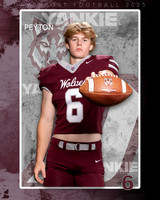 DHS_FB_Var_Ind1-113