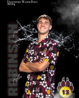 DHS_BWP_IND1-100